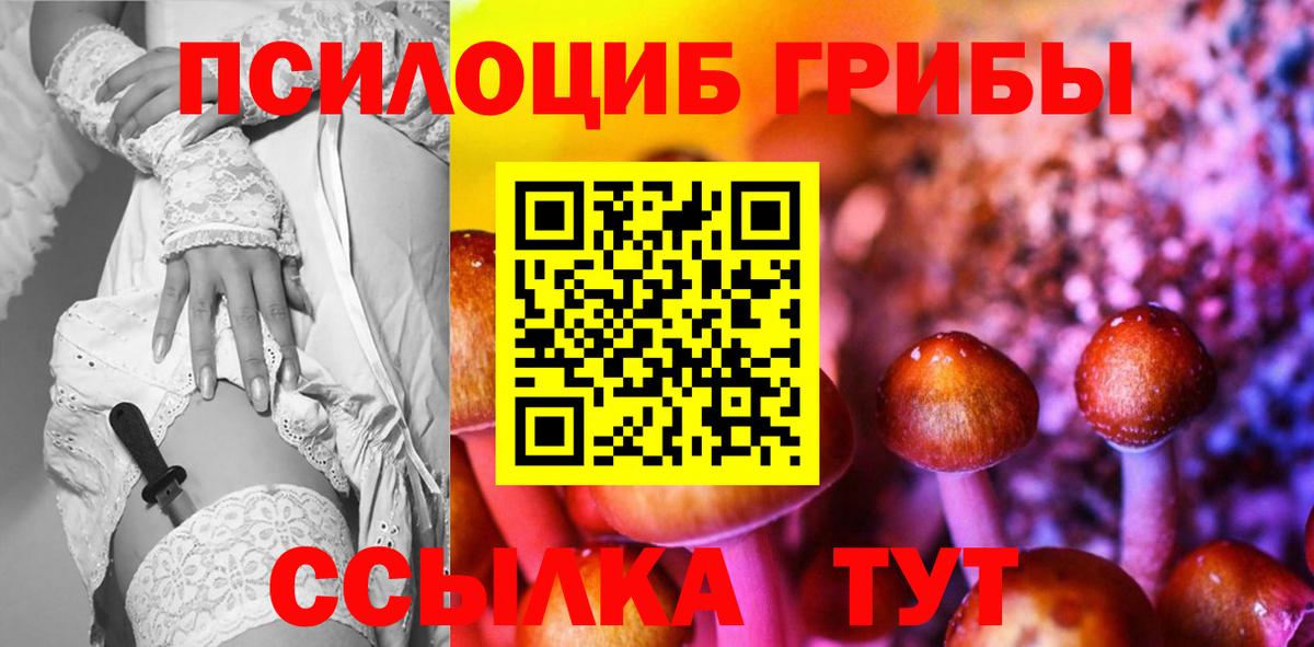 Псилоцибиновые грибы Psilocybe Петровск